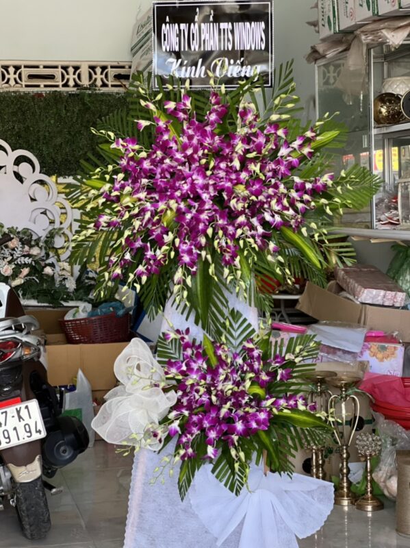 Biệt Ly - Phường Mỹ Đình 2, Quận Nam Từ Liêm, Thành phố Hà Nội